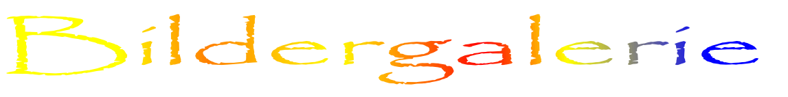Bildergalerie